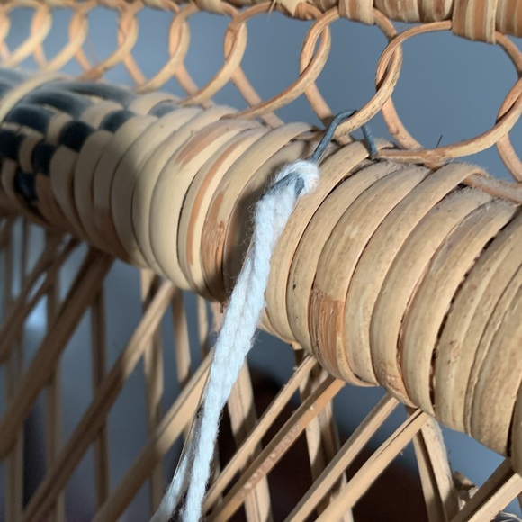 🦜 Parrot - Picture 5 of 5